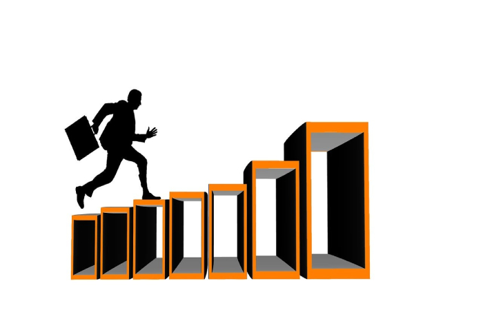 Career Options For An IT Fresher
